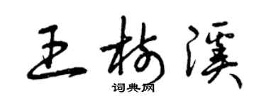 曾庆福王树溪草书个性签名怎么写