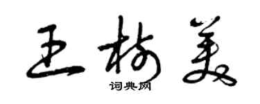 曾庆福王树美草书个性签名怎么写