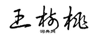 曾庆福王树桃草书个性签名怎么写