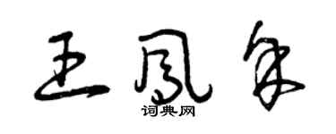 曾庆福王凤余草书个性签名怎么写