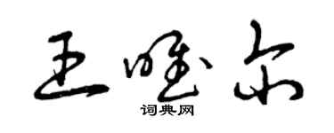 曾庆福王唯尔草书个性签名怎么写