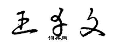 曾庆福王幸文草书个性签名怎么写