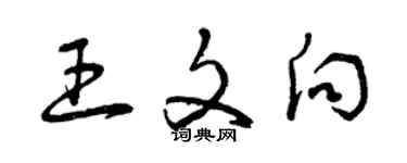 曾庆福王文向草书个性签名怎么写