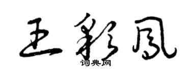 曾庆福王彩凤草书个性签名怎么写