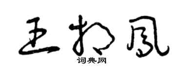 曾庆福王相凤草书个性签名怎么写