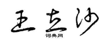 曾庆福王立沙草书个性签名怎么写