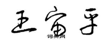 曾庆福王宙平草书个性签名怎么写
