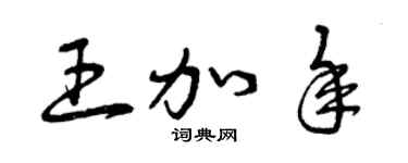 曾庆福王加年草书个性签名怎么写