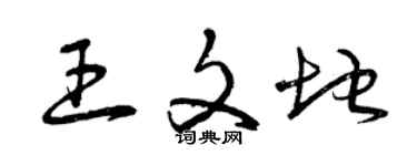 曾庆福王文地草书个性签名怎么写