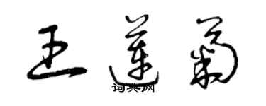 曾庆福王莲菊草书个性签名怎么写