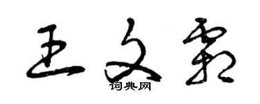 曾庆福王文霜草书个性签名怎么写