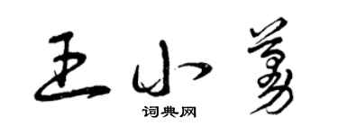 曾庆福王小蔓草书个性签名怎么写