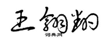 曾庆福王翎翻草书个性签名怎么写