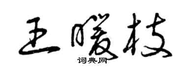 曾庆福王暖枝草书个性签名怎么写