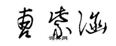 曾庆福曹紫涵草书个性签名怎么写
