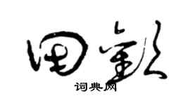 曾庆福田欢草书个性签名怎么写