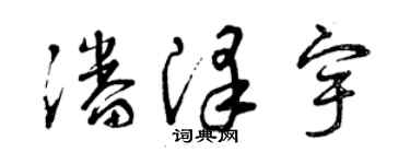 曾庆福潘泽宇草书个性签名怎么写