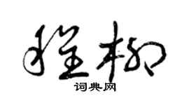 曾庆福程柳草书个性签名怎么写