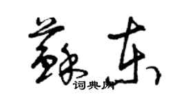 曾庆福苏东草书个性签名怎么写