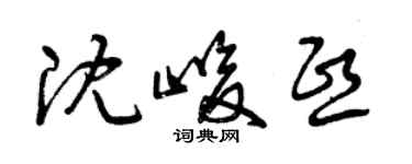 曾庆福沈峻熙草书个性签名怎么写