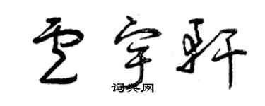曾庆福卢宇轩草书个性签名怎么写