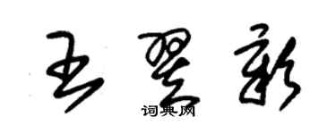 朱锡荣王翌彰草书个性签名怎么写