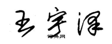 朱锡荣王宇泽草书个性签名怎么写