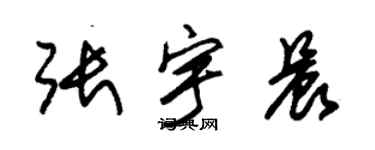 朱锡荣张宇晨草书个性签名怎么写