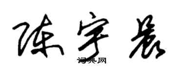 朱锡荣陈宇晨草书个性签名怎么写