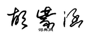 朱锡荣胡紫涵草书个性签名怎么写