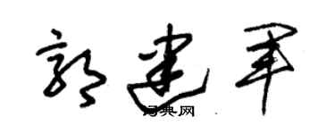 朱锡荣郭建军草书个性签名怎么写