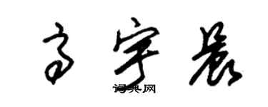 朱锡荣高宇晨草书个性签名怎么写