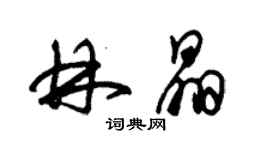 朱锡荣林晶草书个性签名怎么写