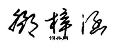 朱锡荣邓梓涵草书个性签名怎么写