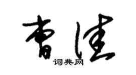 朱锡荣曹佳草书个性签名怎么写