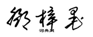 朱锡荣邓梓墨草书个性签名怎么写