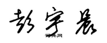 朱锡荣彭宇晨草书个性签名怎么写