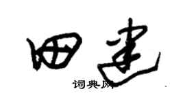 朱锡荣田建草书个性签名怎么写