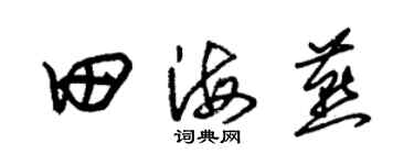 朱锡荣田海燕草书个性签名怎么写