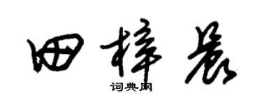 朱锡荣田梓晨草书个性签名怎么写