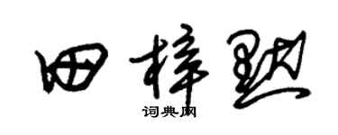 朱锡荣田梓默草书个性签名怎么写