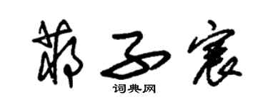 朱锡荣蒋子宸草书个性签名怎么写