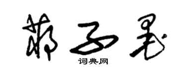 朱锡荣蒋子墨草书个性签名怎么写
