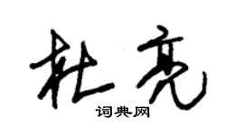 朱锡荣杜亮草书个性签名怎么写