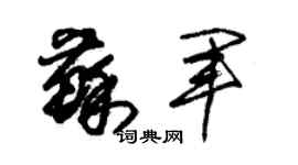 朱锡荣苏军草书个性签名怎么写