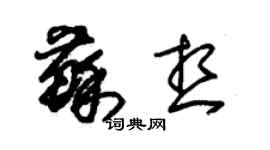 朱锡荣苏想草书个性签名怎么写