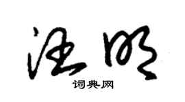 朱锡荣汪明草书个性签名怎么写