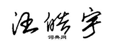 朱锡荣汪皓宇草书个性签名怎么写