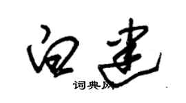 朱锡荣白建草书个性签名怎么写