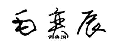 朱锡荣毛奕辰草书个性签名怎么写